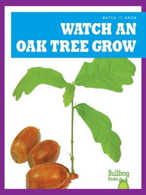 cover image of Watch an Oak Tree Grow